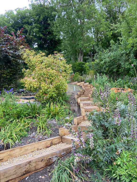 Photo of a garden with a new wooden border.